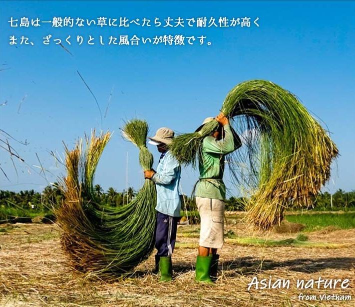 日本池彥 - 涼爽七島藺草拖鞋-夾腳-橘
