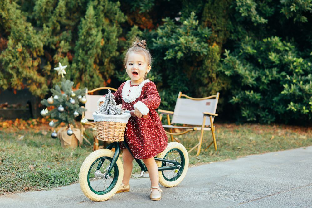 Chelston bikes - Mini Dutch 復古滑步車-夜幕黑(消光)-滑步車 x 1 , 手工編織竹籃 x 1 , 麻料內襯  x 1 , 3 歲以下專用ABS氣嘴蓋 x 1