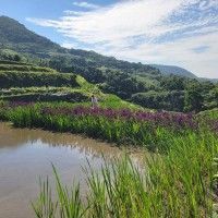 小寶貝