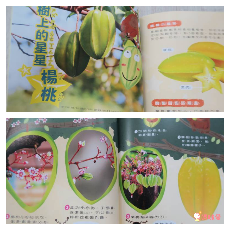 2021【康軒雜誌】跟團即送：【生活數學遊戲寶盒+新期刊】