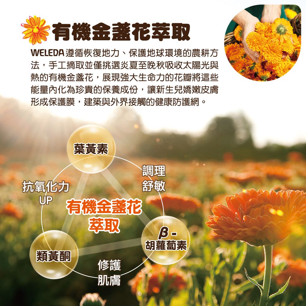 WELEDA 薇蕾德 - 金盞花寶貝柔護身體乳-200ml