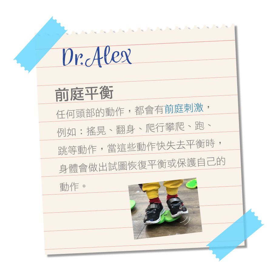 荷蘭BS - 池塘抓青蛙