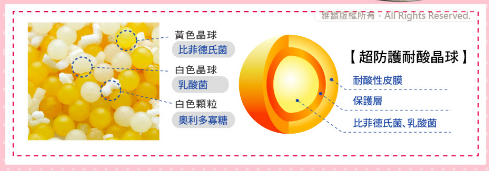 日本森下仁丹 - 『1元試吃』5+5晶球益生菌-幼兒保健體驗組(3入/份)-幼兒保健3日體驗