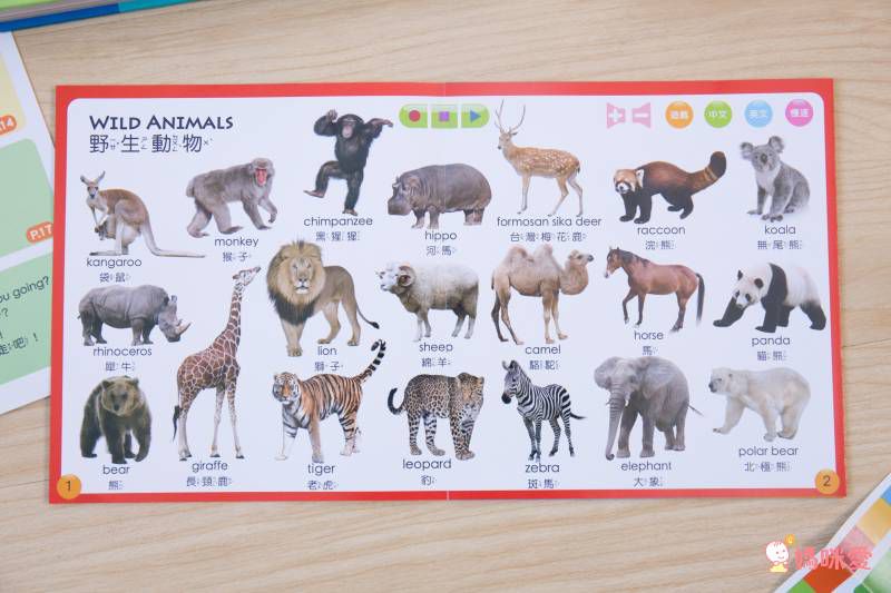 双美生活文創 - ABC點讀學習寶盒-波波狗點讀筆*1隻＋ABC認知圖典*1本＋圖鑑點讀書*1本＋ABC點讀掛圖*1張＋注音點讀卡*1張