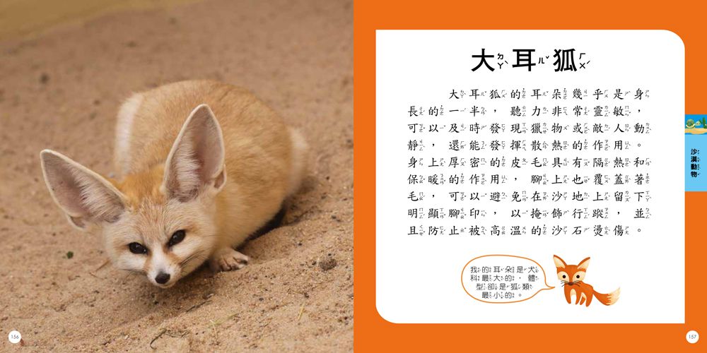 STEAM圖鑑小百科：動物