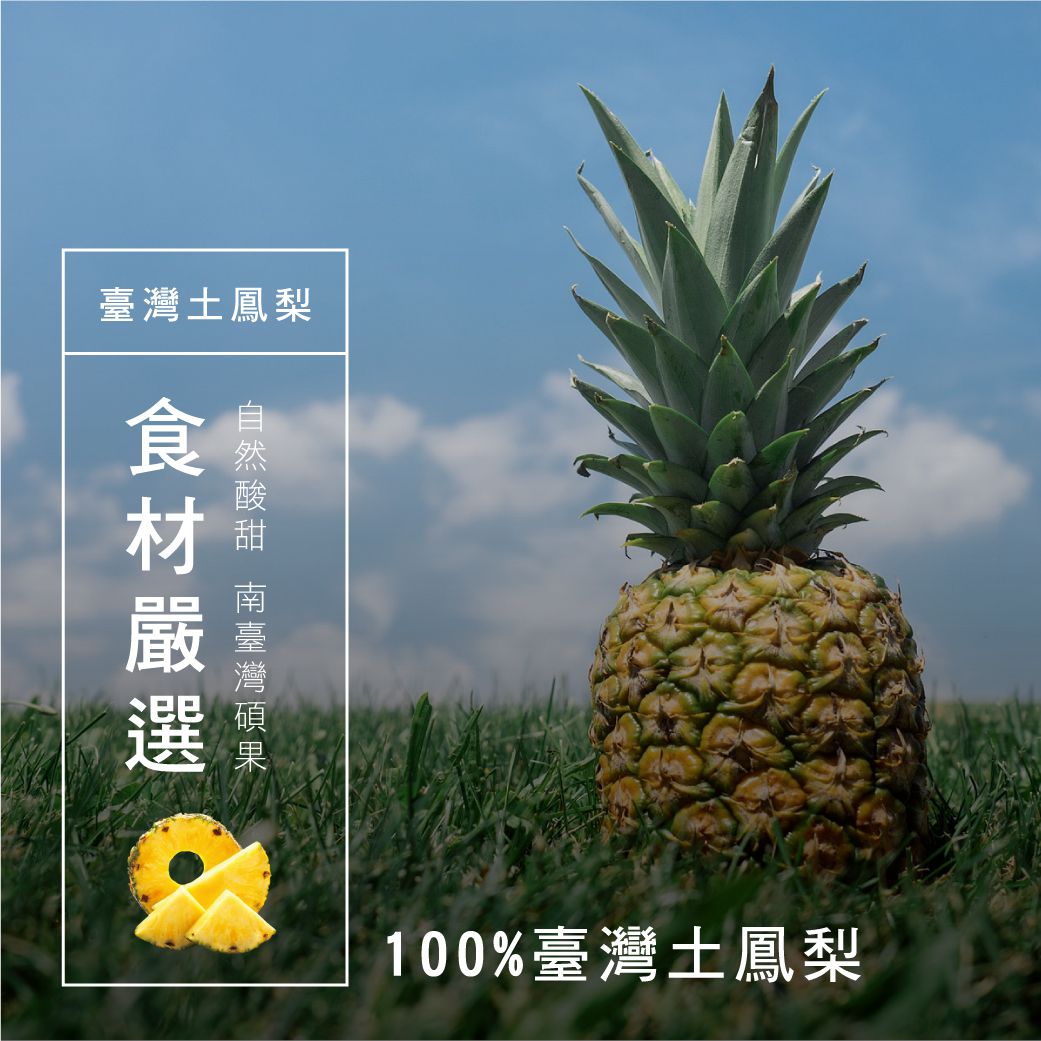 【起士公爵Cheese Duke】木寡醣乳酪蛋糕