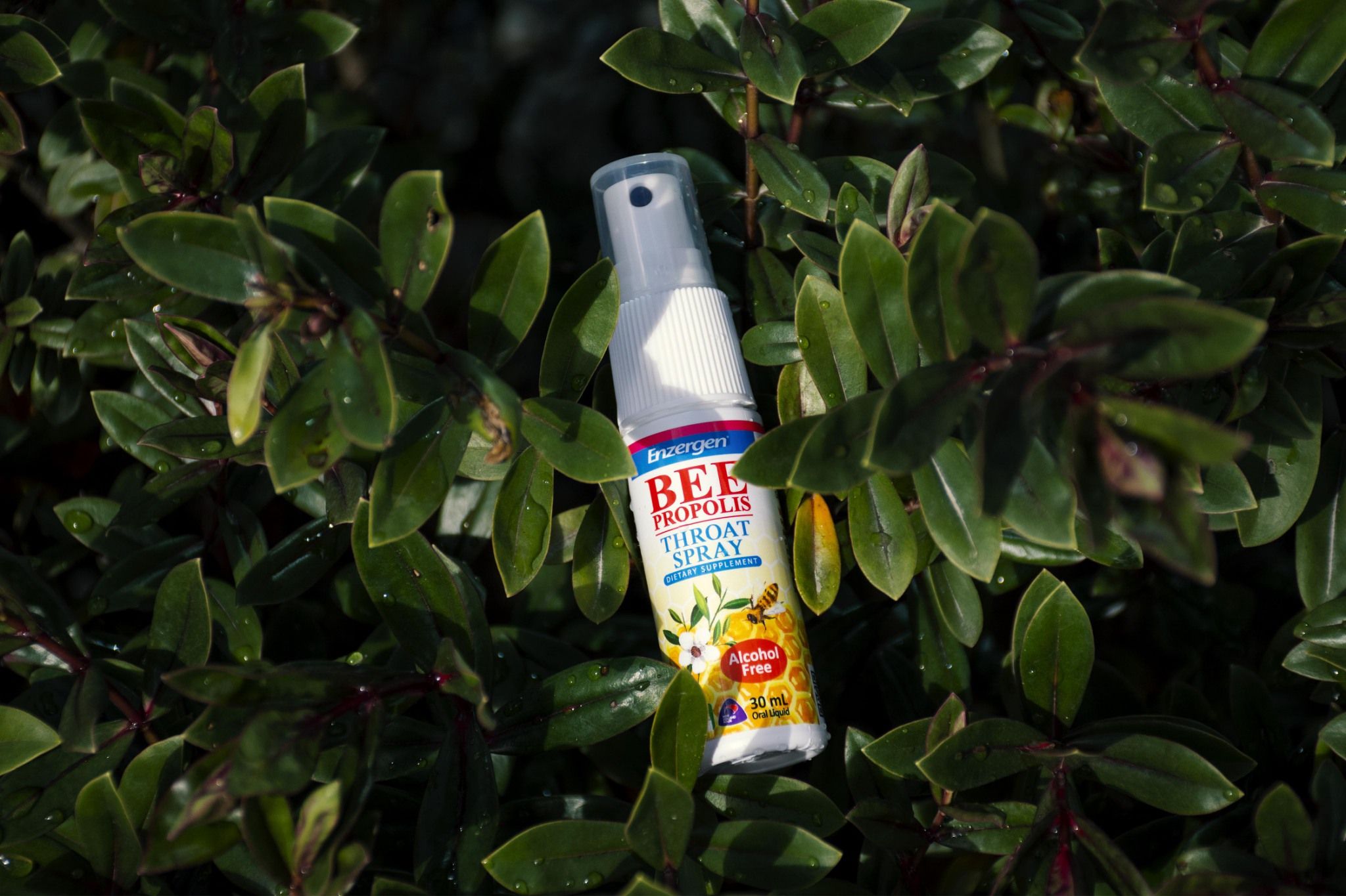 [紐西蘭] Enzergen® - 蜂膠組-蜂膠萃取液x1 + 麥蘆卡蜂蜜蜂膠液x1