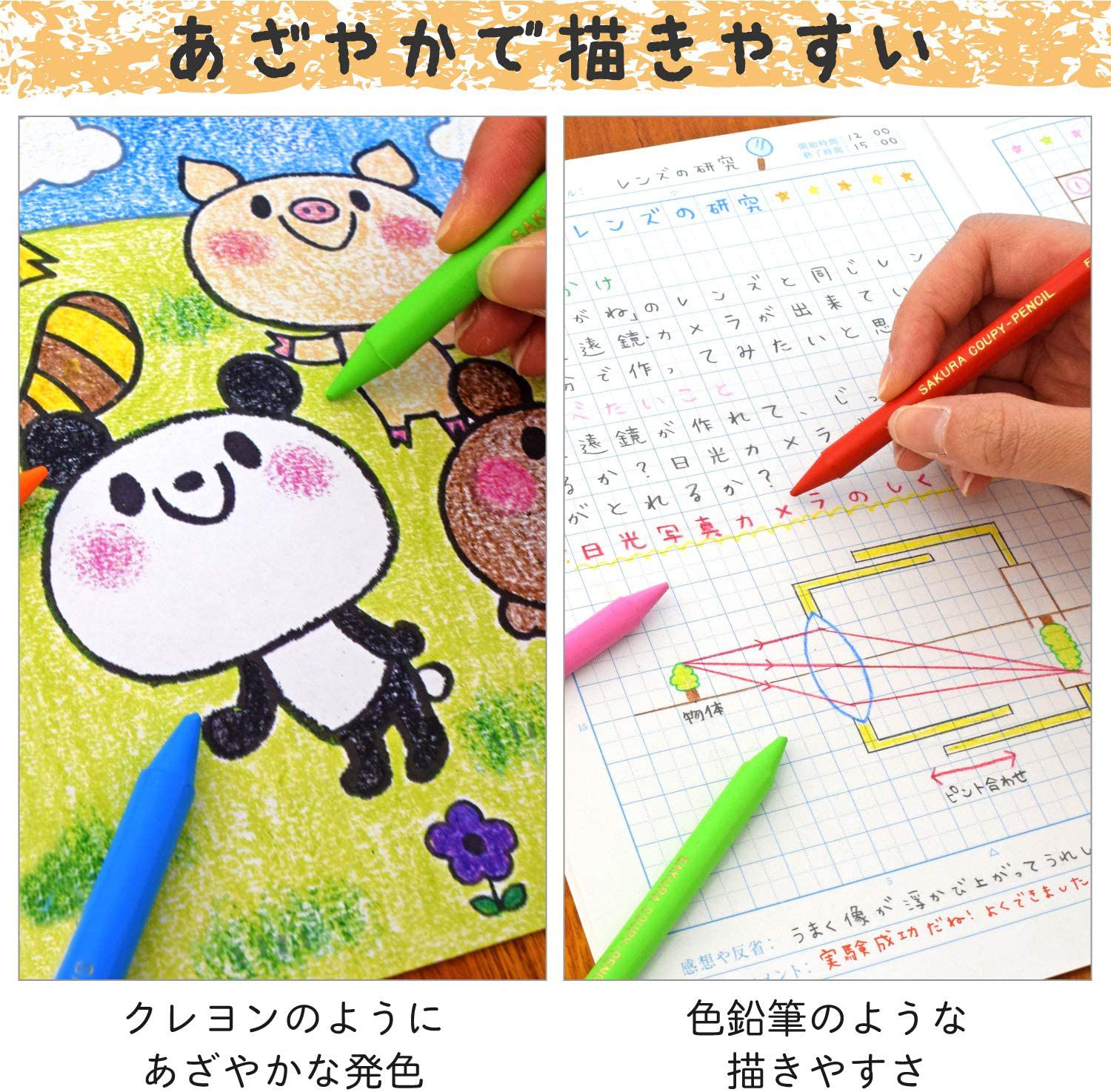 日本文具代購 - SAKURA 日本製蠟筆組(附削鉛筆器/橡皮擦)-15色