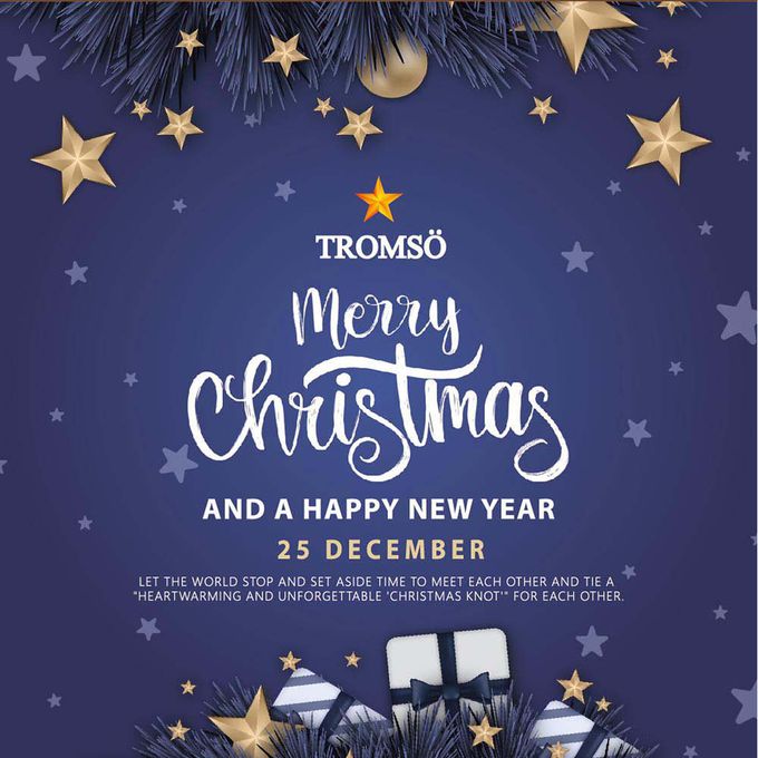 TROMSO - 北歐絕美聖誕樹-丹麥典藏金紅 (150cm)