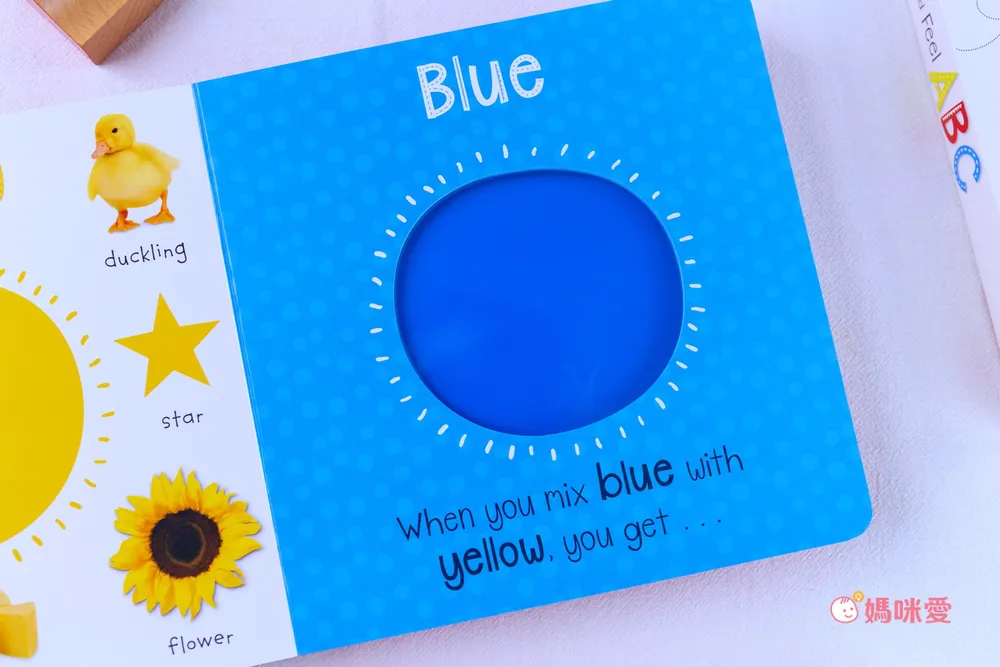 日本設計研發《KIDsREAD 四語圖解字典 》終於補貨！