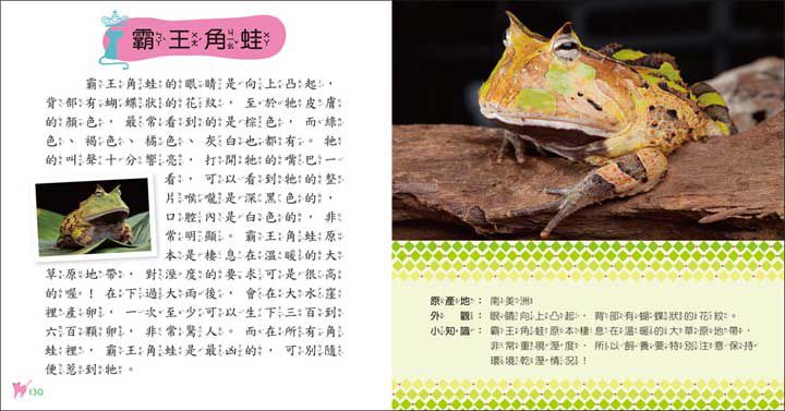 寵物小百科(全新小百科 正方形)