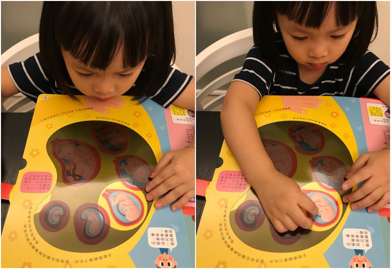 双美生活文創 - 【獨家組】我的第一本觸控點讀有聲書(ABC＋學前認知) ＋探照燈找一找：透視身體大解密