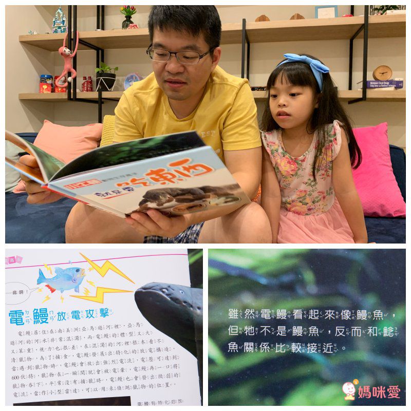 小牛頓【漫畫成語百科】語文＆科學一套搞定！看漫畫輕鬆學知識