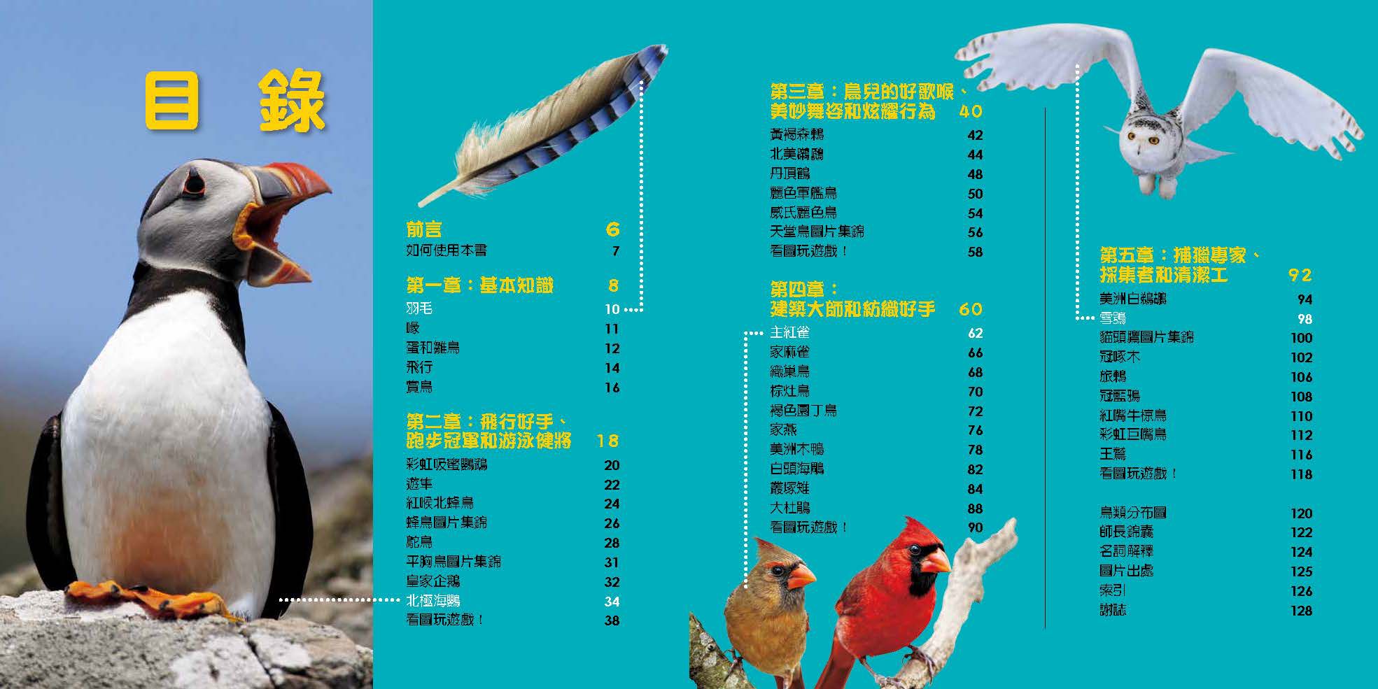 國家地理小小鳥類探險家 (精裝 /128頁 /全彩印刷)