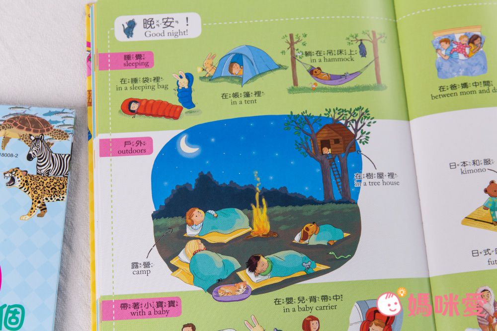 符合教育部國小規定【世一文化點讀筆系列】中英學習靠這套！