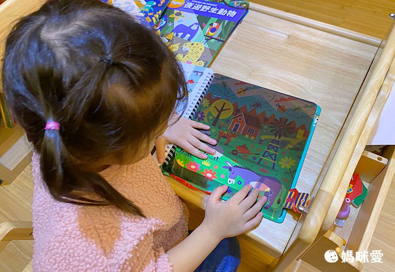 【禾流文創】拿起手電筒，來場夜間探險！『Spotlight！夜遊系列』