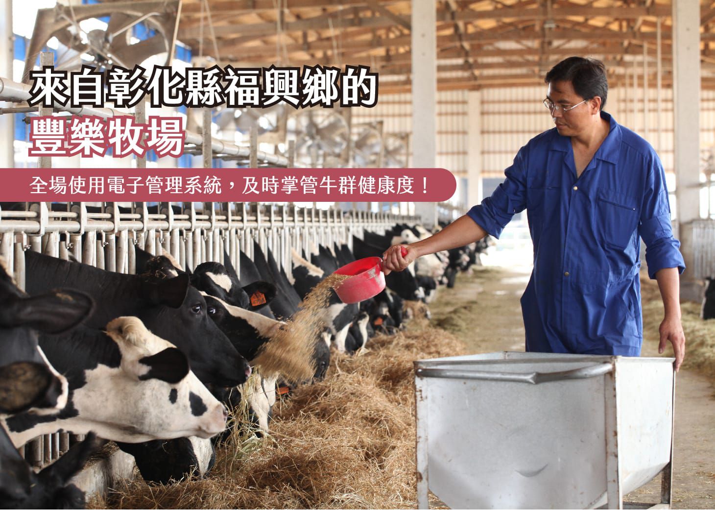 鮮乳坊 - 單純愛著奶-豐樂鮮乳2入組-936ml/瓶