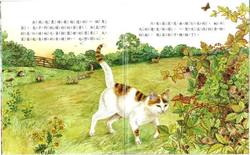 風境農場動物繪本-精裝6冊、故事點讀面板、導讀手冊-精美書架式書盒