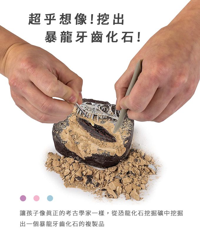 NATIONAL GEOGRAPHIC - 國家地理頻道 恐龍化石挖掘套組