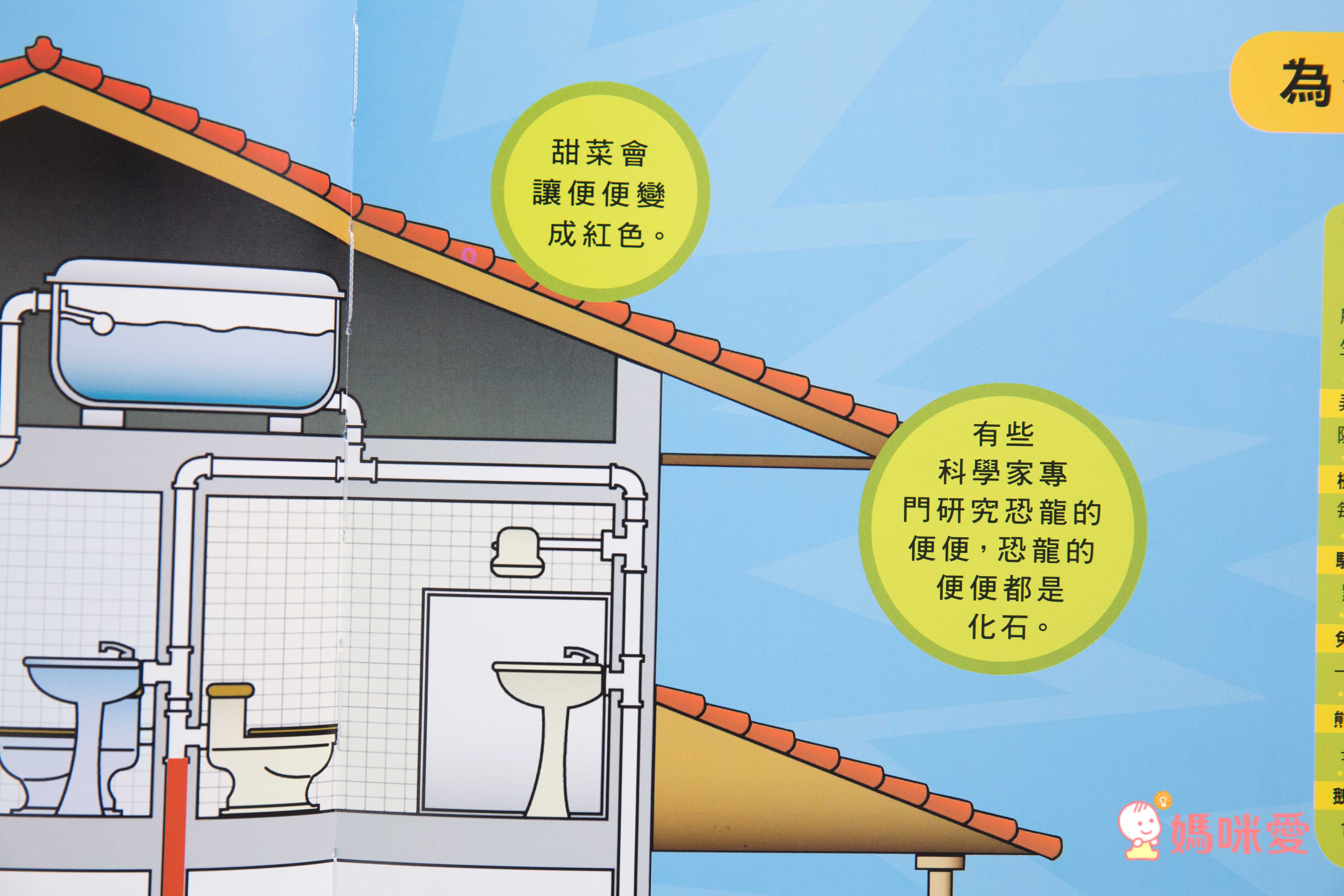 小小知識探險家 (精裝 / 128頁 / 全彩印刷)