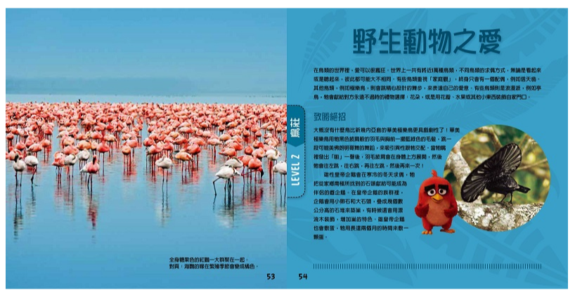 憤怒鳥：銳德的大冒險 (平裝 / 160頁 /全彩印刷)