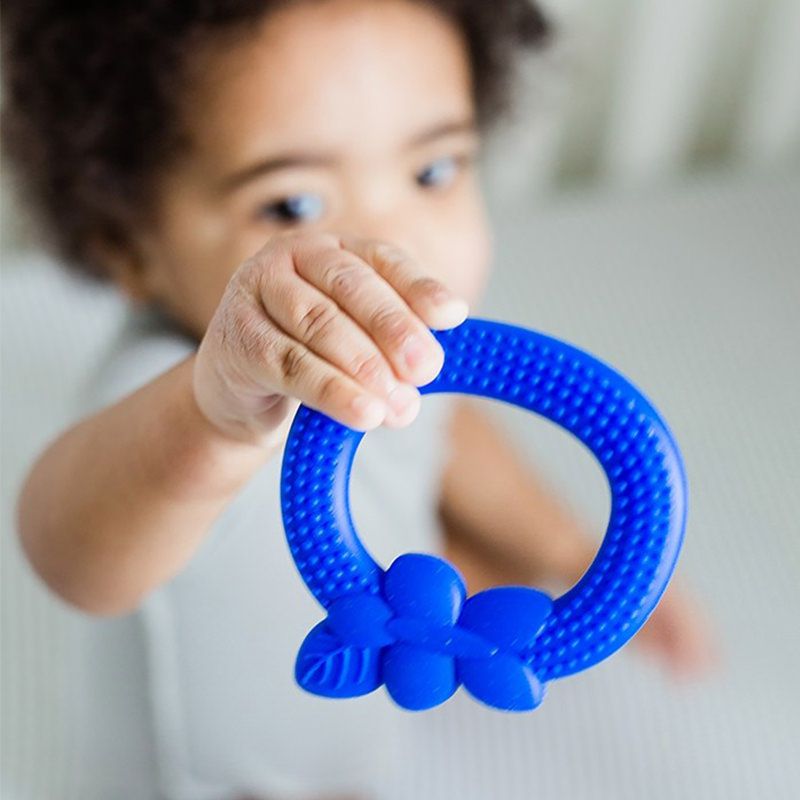 美國 green sprouts - 小綠芽食品安全等級矽膠固齒器-藍漿果