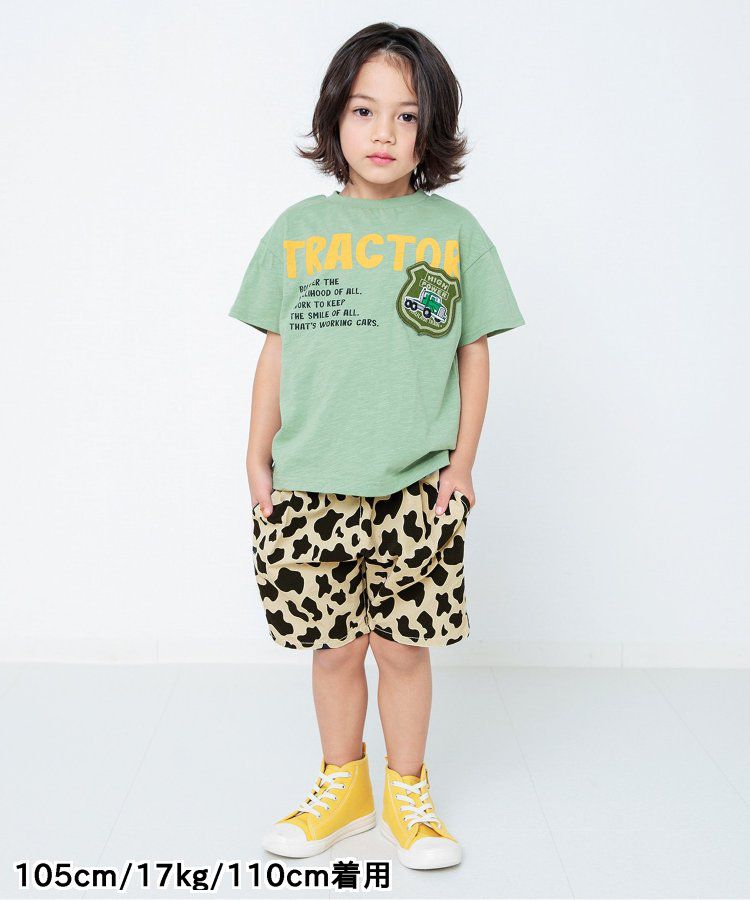 日本 BREEZE - 100%棉定番印花短褲-變形蟲-綠