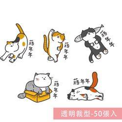 年年.studio - 姓名貼紙-透明裁型-貓咪 (3.5x2.5cm)-50張入