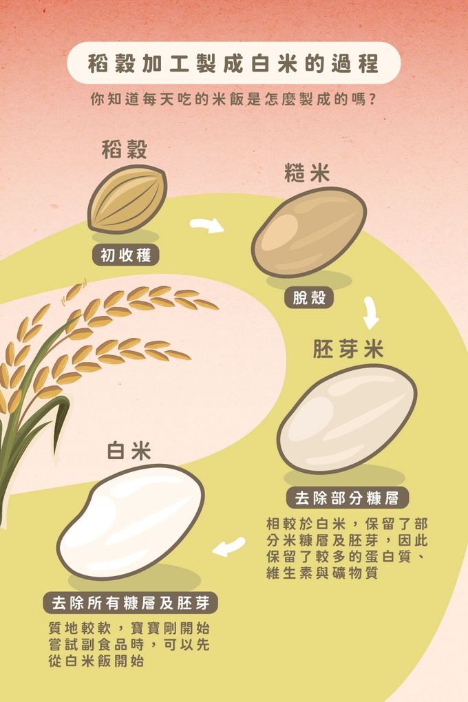 飯友 - 紫芋小豬胚芽米粥 4包/盒