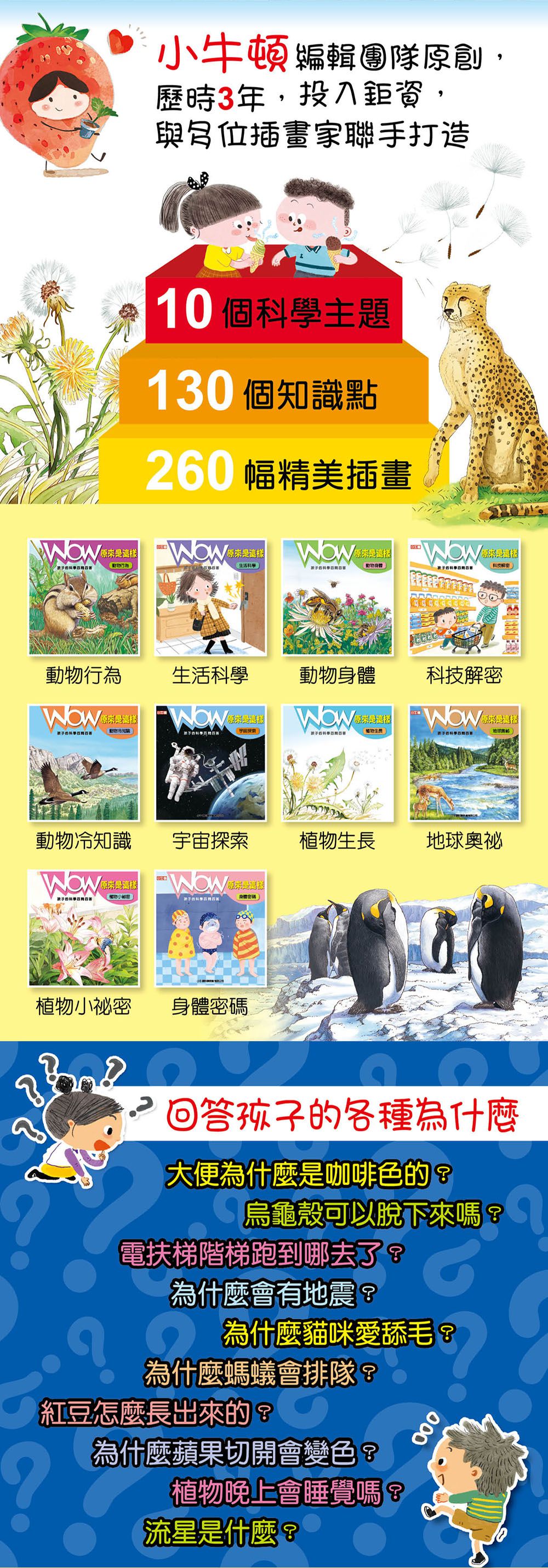 小牛頓科學教育有限公司 - WOW原來是這樣-56頁/22.6 x 24 cm/附注音-全彩-平裝