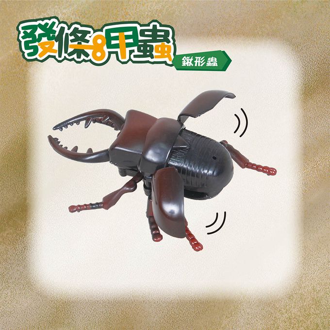 世一文化 - 發條甲蟲-鍬形蟲