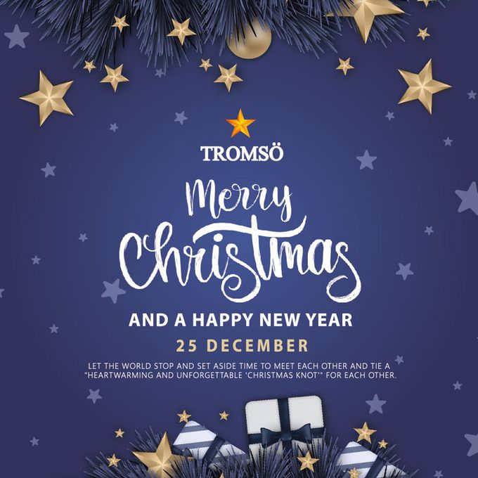 TROMSO - 豪華松針下雪聖誕樹-丹麥典藏金紅 (150cm)