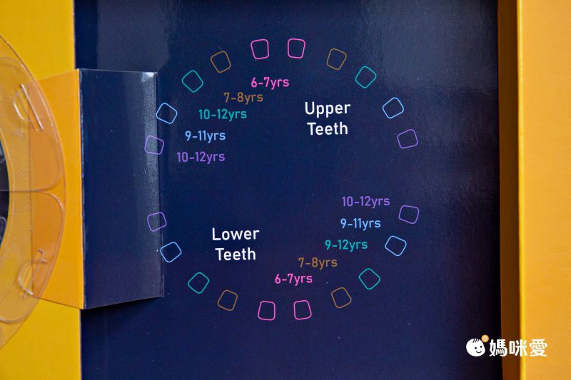 MangoBanana - 乳牙收藏盒-大象泡泡 (17.6 x 17.6 x 4 cm)-英文版