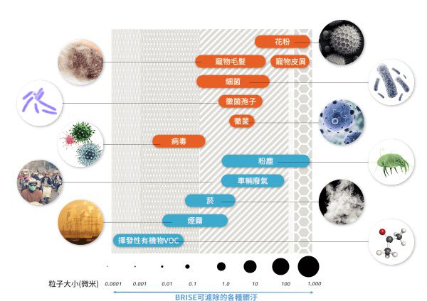 荷蘭 BRISE - C600 抗敏最有感的空氣清淨機 - APP登入送1年前置濾網-(獨家！登記送防疫濾網)