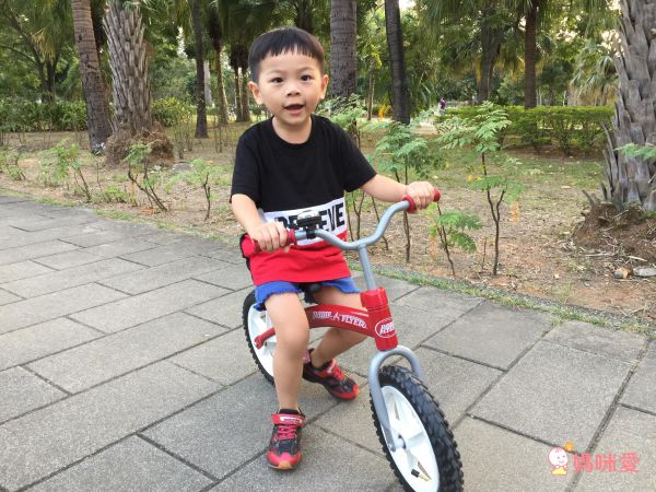 Radio Flyer - 領航者平衡車(EVA胎)