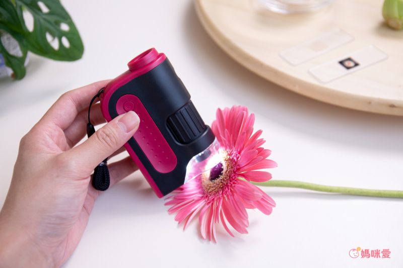 日本 Raymay - 攜帶式隨身顯微鏡-60-120倍率-綠