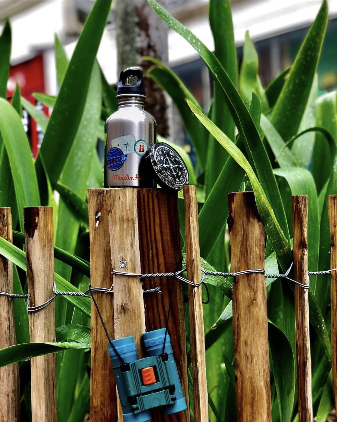 Moulin Roty - 探險望遠鏡