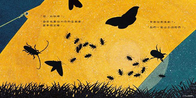 夜間觀察：一趟夜訪大自然的父子散步