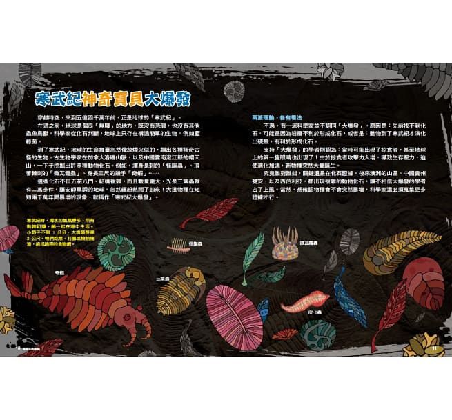 科學素養練功房：科學驚歎號-精裝