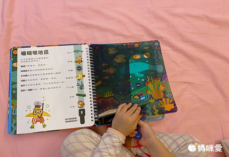 【禾流文創】拿起手電筒，來場夜間探險！『Spotlight！夜遊系列』