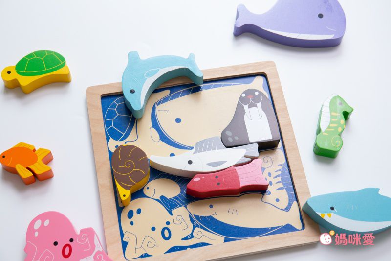 益智學習【英國 Le Toy Van、澳洲 Kiddie Connect】啟蒙教具