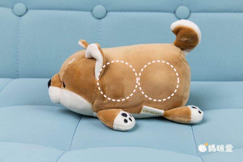 挺胸不駝背！日本 LIV HEART ♡ 坐姿調整抱枕，動物造型超療癒