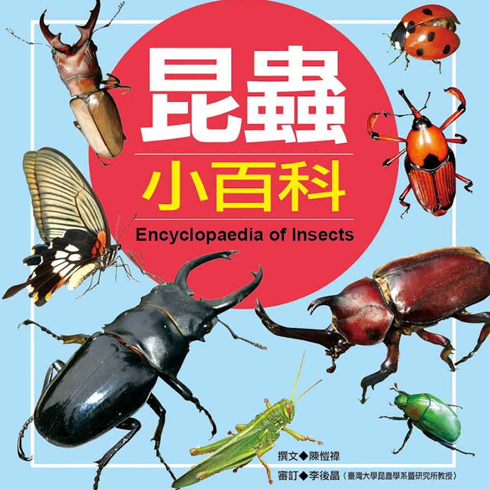 小百科圖鑑：昆蟲小百科-精裝
