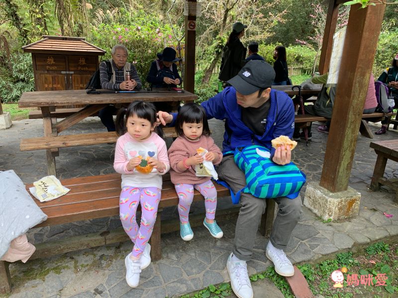 溪頭妖怪村主題飯店｜一年期履約住宿券