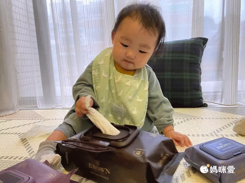 韓國BROWN - VIP GOLD BROWN 濕紙巾-可可果20抽(含蓋)*24包