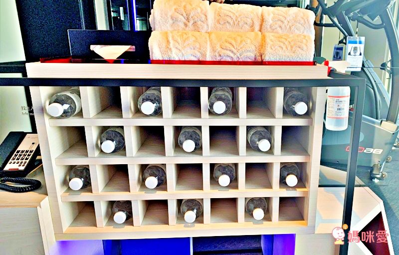 台中大毅老爺行旅 綠光客房兩大一小↘3000起