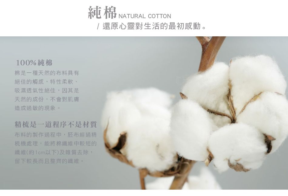 澳洲 Simple Living - (絕版品出清)300織純棉防水透氣床包-橄欖綠-雙人