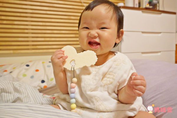  加拿大 loulou lollipop 固齒器