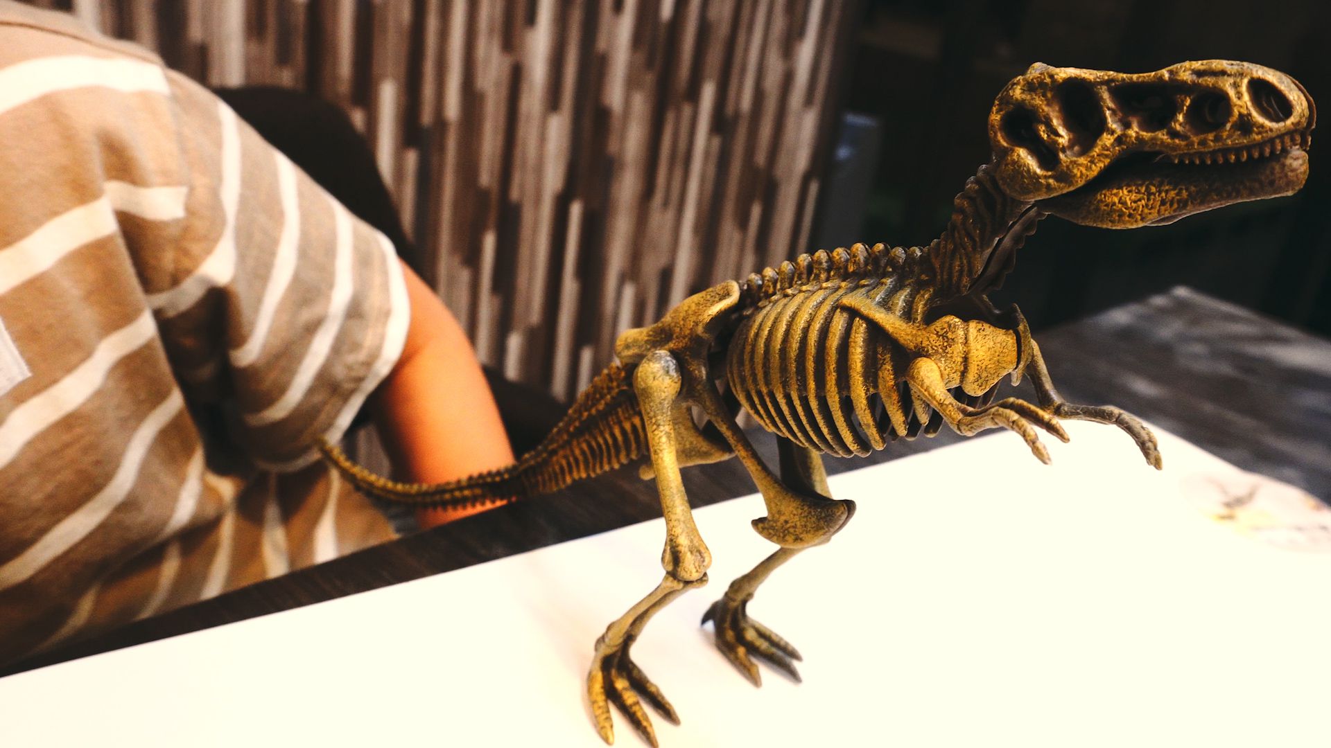 禾流文創 - 考古挖挖哇-恐龍化石出來囉