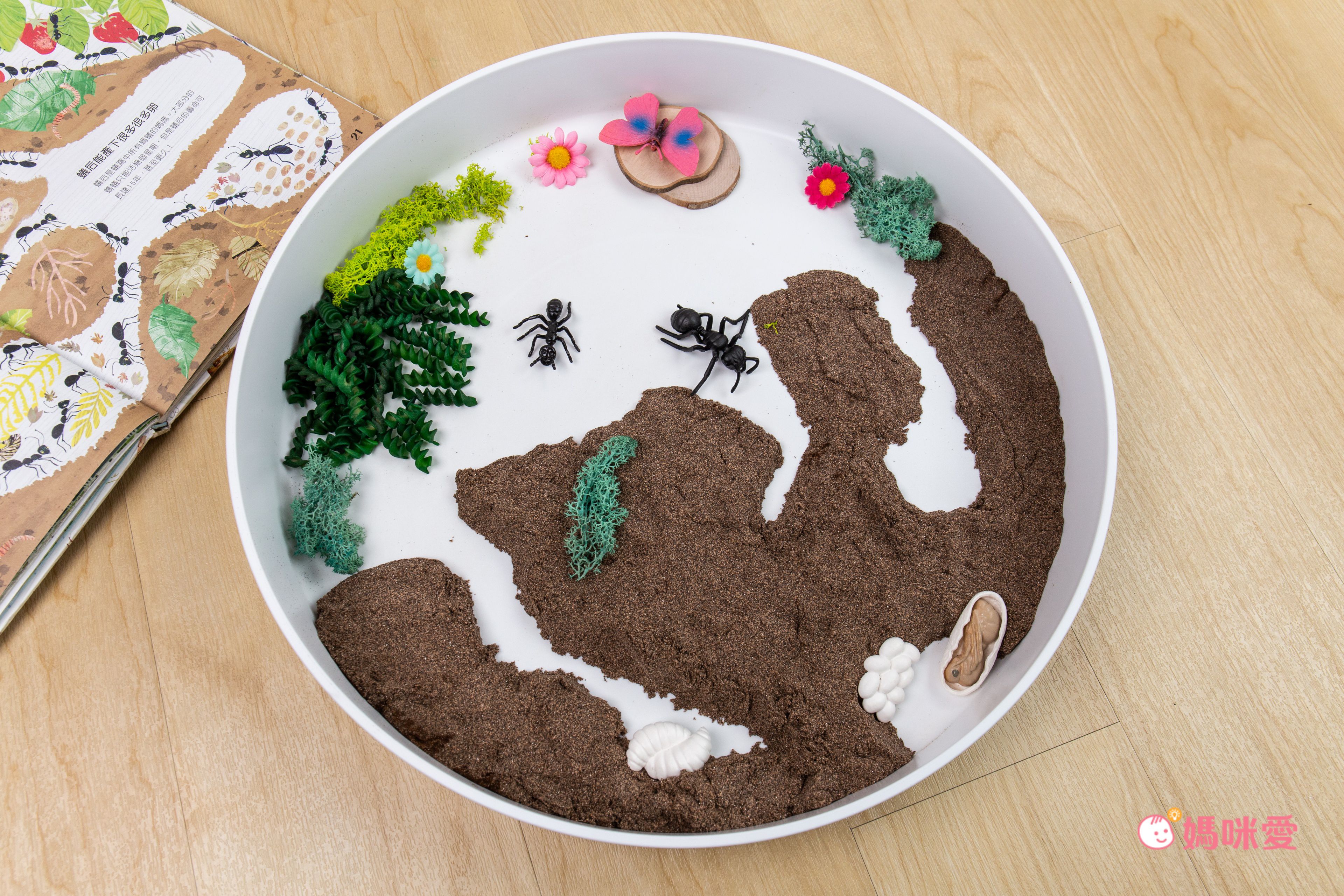 超激推5in1感官盆【韓國POKI趣玩盆】啟發創意力